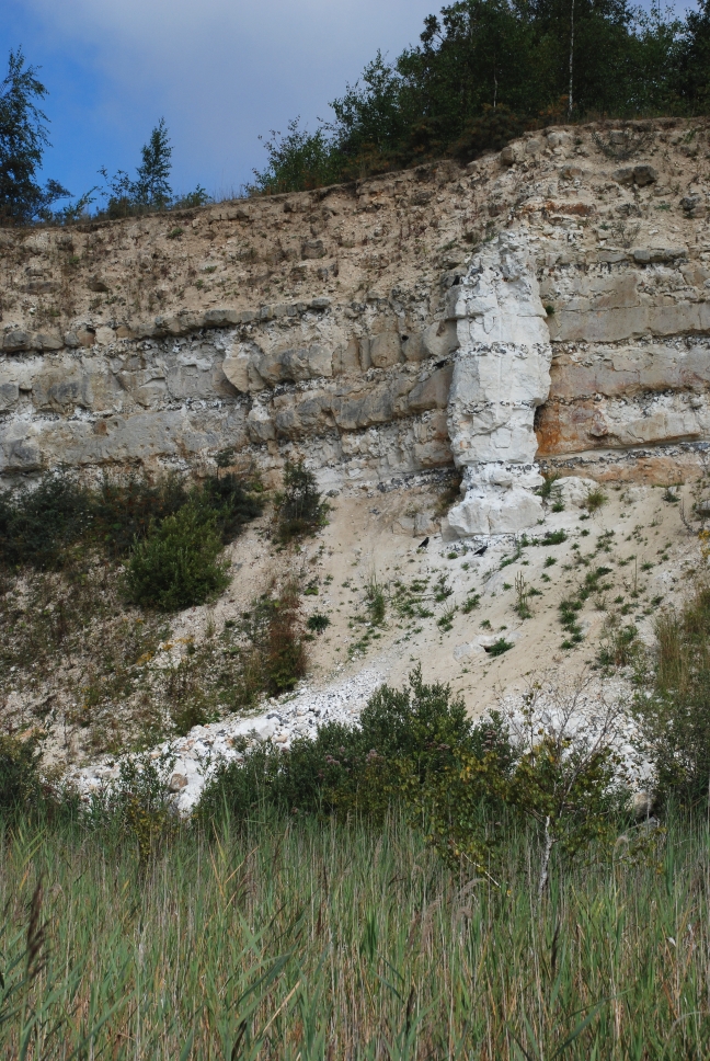 Profil i Karlstrup kalkgrav