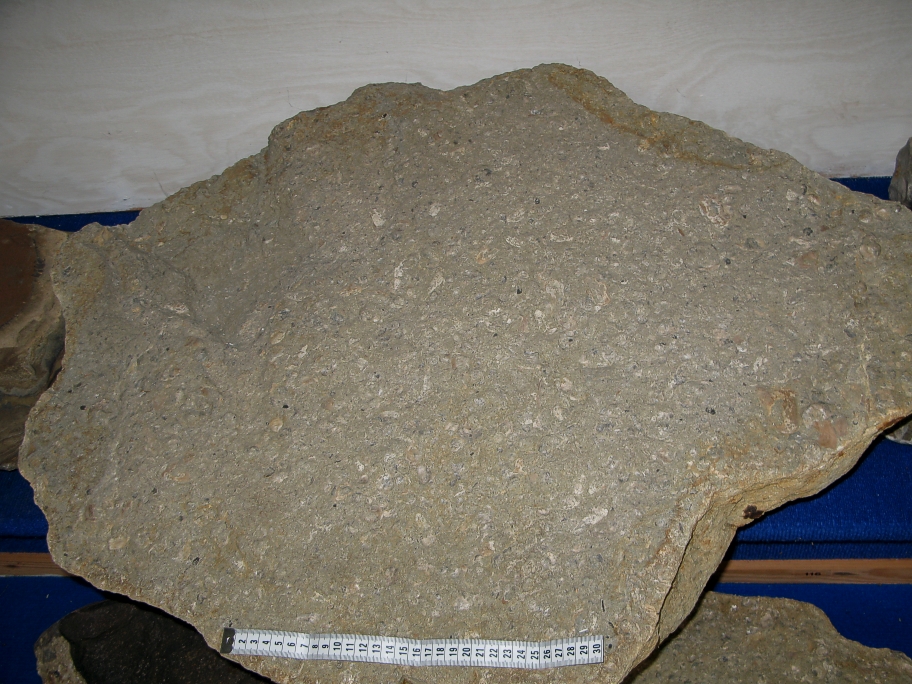 Nærbillede af Wealdenblok på 200 kg