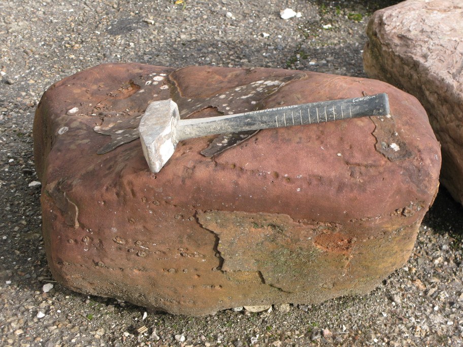 Turritella-sandsten med tynde lag af Turritella snegle