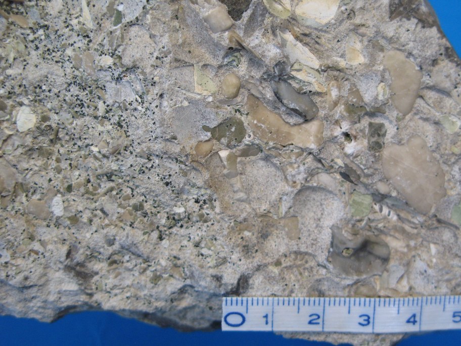 Nærbillede af flint med lag af echinodermkonglomerat